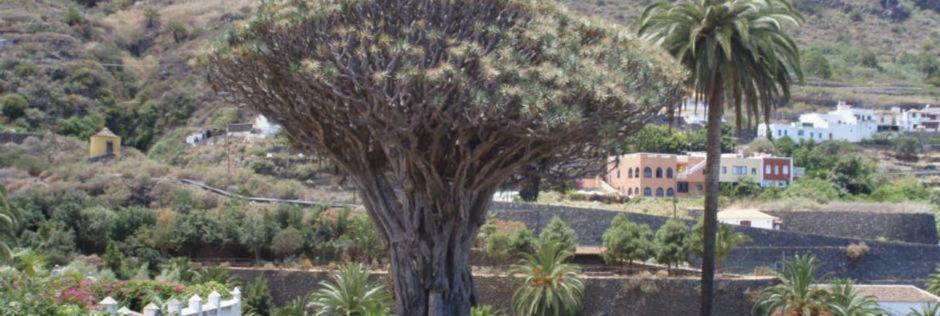 Stunning Views At Tenerife Tacoronte Exterior foto