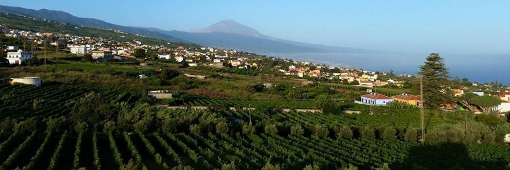 Stunning Views At Tenerife Tacoronte Exterior foto